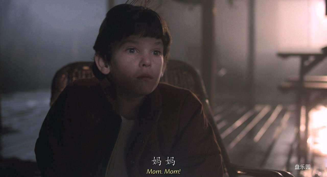 [E.T.外星人].E.T.The.Extra-Terrestrial.1982.BluRay.720p.x264.AC3.2Audios-CMCT.mk.jpg