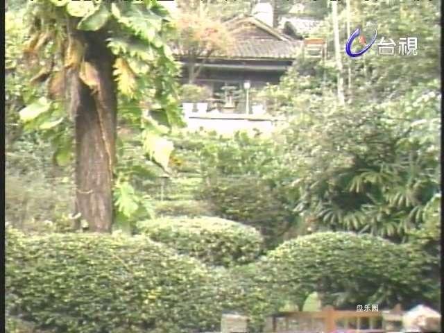 今夜相思雨_第_9_集.mp41_20240213_115227.235.jpg