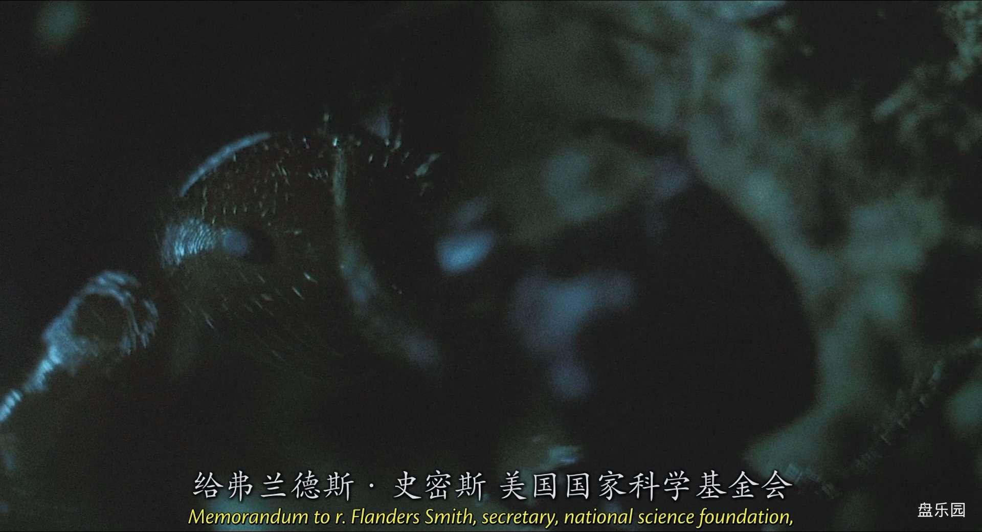 {93fa2a00-8347-4ad6-8d57-01c53a3505b9}.tmp_20240302_194544.227.jpg