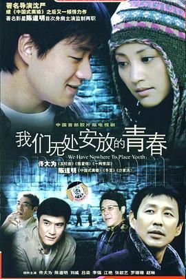 [百度网盘][中国大陆][2007][我们无处安放的青春][陈道明/佟大为/江一燕][剧情/爱情][全24集][豆瓣高分:8.2][国语中字][MP4/每集1.05G][4K]-1.jpg