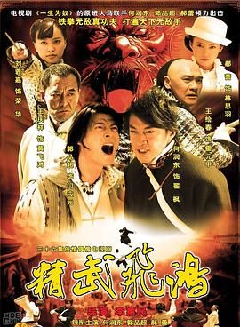 [百度网盘][中国大陆][2006][精武飞鸿][何润东/郭品超/郝蕾][剧情][全40集][国语中字][13DVD5/ISO][50G]-1.jpg