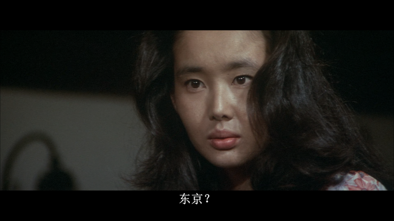 [百度网盘][日本][1976][追捕][高仓健/原田芳雄/西村晃][剧情/动作/犯罪][豆瓣高分:8.3][国日双语简繁字幕][MKV/9.59G][BluRay.1080p.x265.10bit.3Audio.MNHD-FRDS]-2.jpg