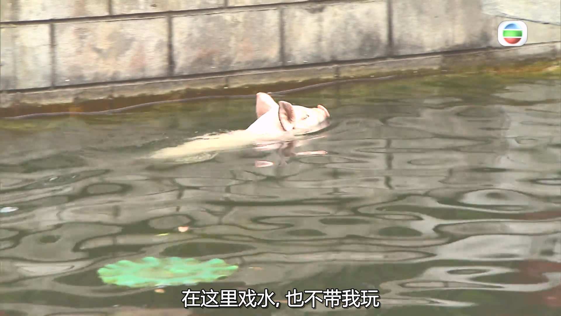 味想天開-1.mp4_20240610_010536.306.jpg