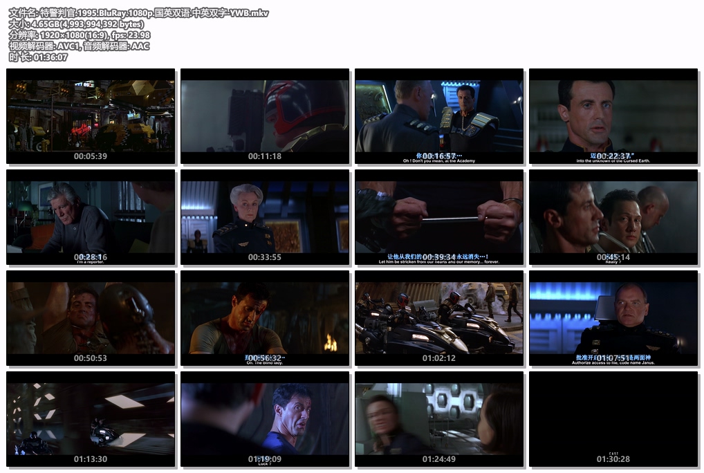 [115+迅雷][美国][1995][特警判官][西尔维斯特·史泰龙/阿曼德·阿桑特/罗伯·施奈德][动作/科幻/惊悚][国英双语.中英双字][MKV/4.65G][1080P]-6.jpg