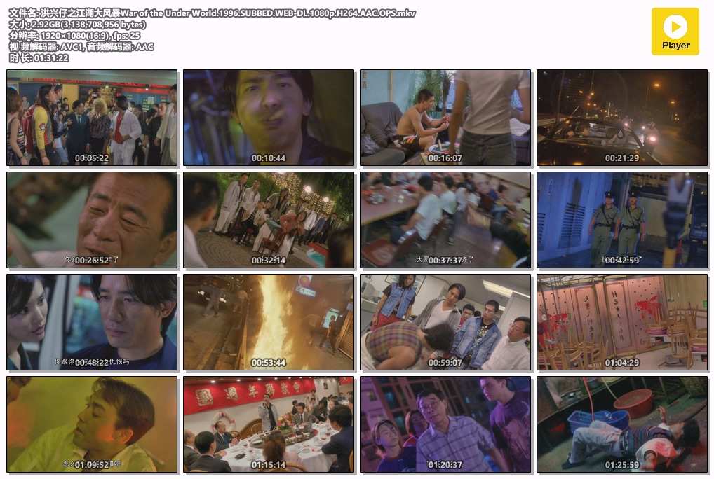 洪兴仔之江湖大风暴War of the Under World.1996.SUBBED.WEB-DL.1080p.H264.AAC.OPS.mkv.jpg