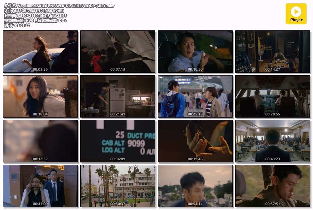 Vagabond.S01E01.NF.WEB-DL.4k.HEVC.DDP-AREY.mkv.jpg