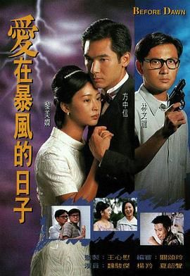 [115][中国香港][1995][爱在暴风的日子][方中信/黎美娴/林文龙][全20集][双语软字][mytv/每集1.2g][1080p/mkv]-1.jpg