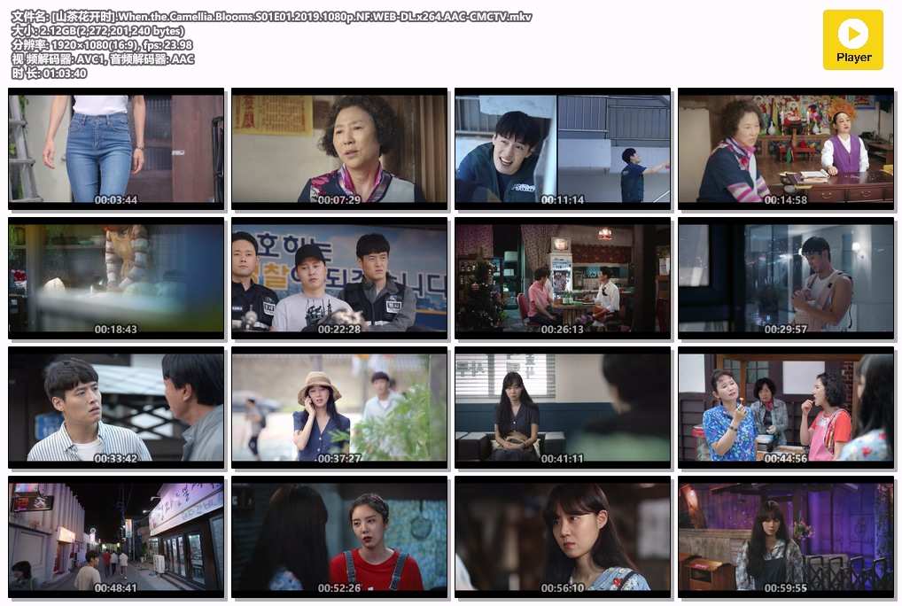[山茶花开时].When.the.Camellia.Blooms.S01E01.2019.1080p.NF.WEB-DL.x264.AAC-CMCTV.mkv.jpg