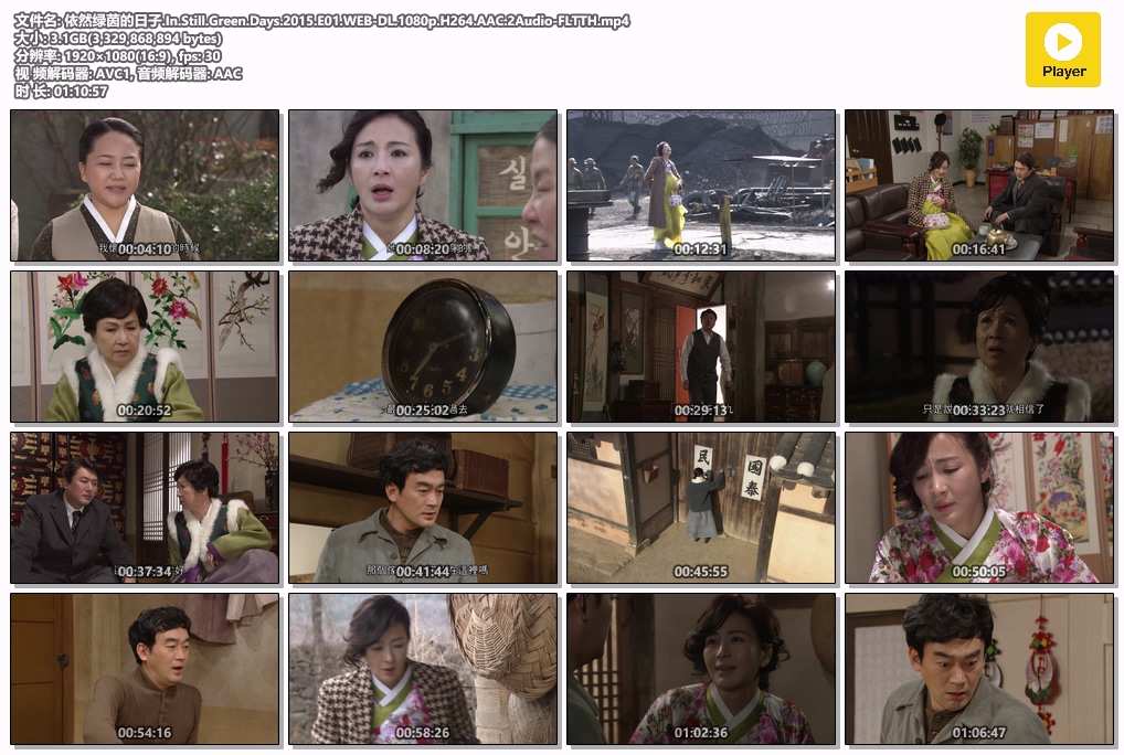 依然绿茵的日子.In.Still.Green.Days.2015.E01.WEB-DL.1080p.H264.AAC.2Audio-FLTTH.mp4.jpg