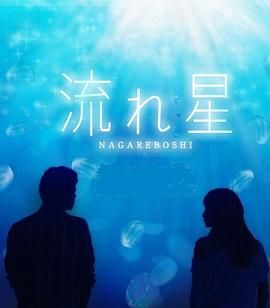 [百度网盘][日本][2010][流星][竹野内丰/上户彩 Aya Ueto/松田翔太][剧情/爱情][全10集][日语中字][MP4][每集约1G]-1.jpg