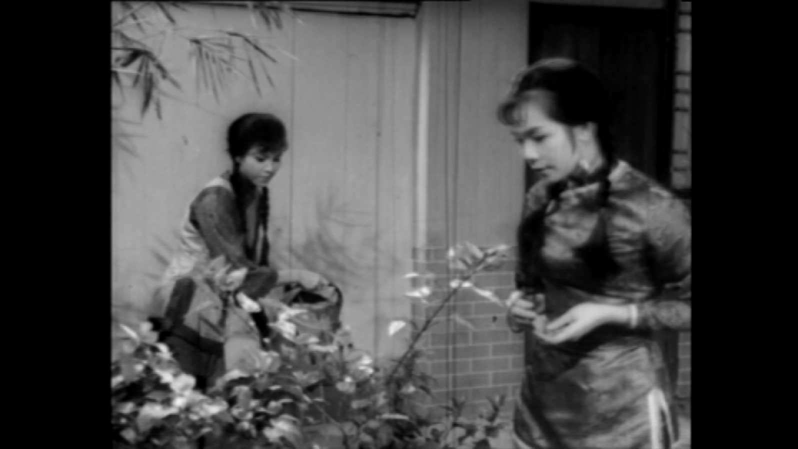 Mysterious.Box.1965.1080p.MyTVS.WEB-DL.H265.AAC-LeagueWEB.mkv_20250618_202556.286.jpg