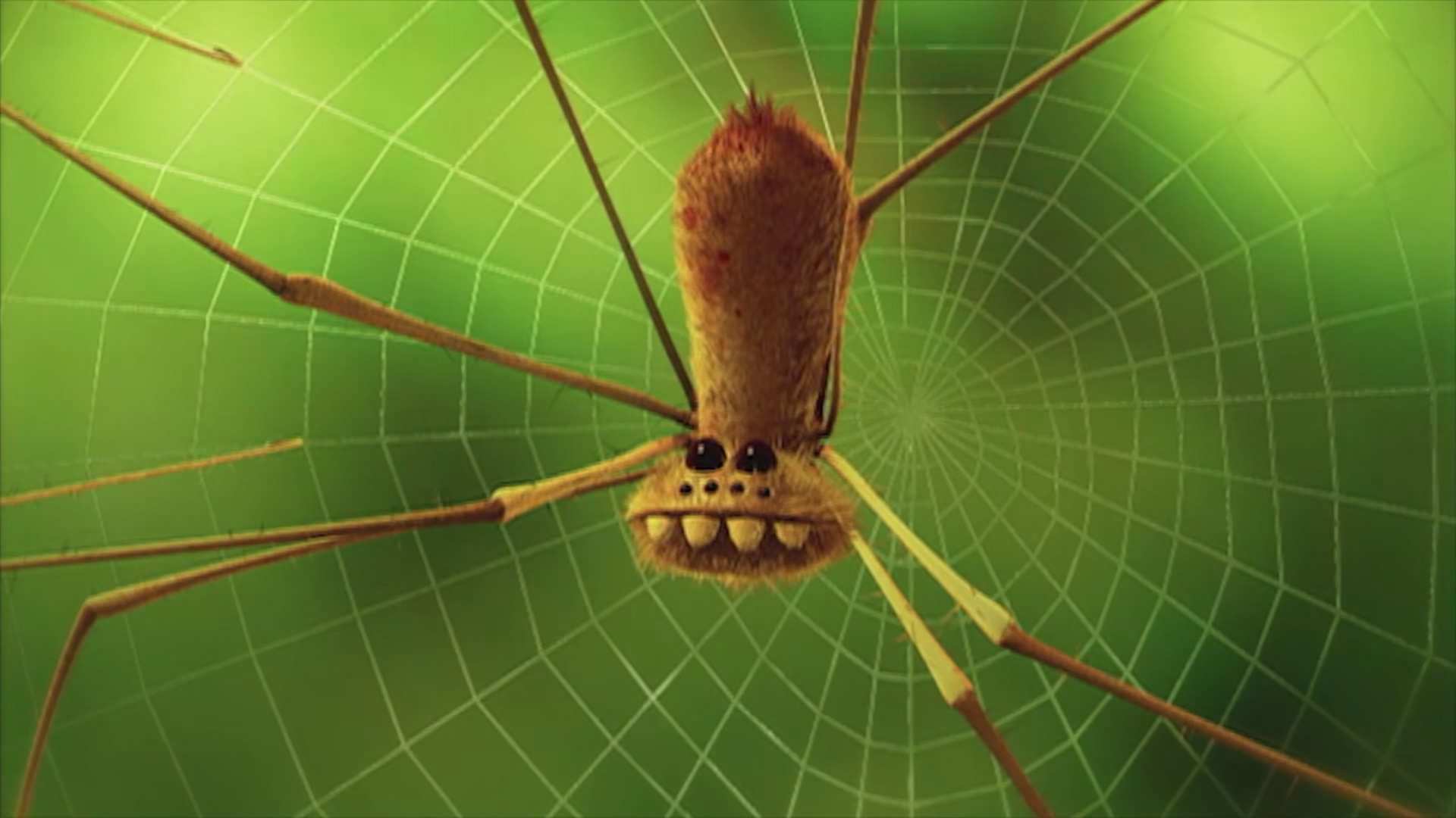 001.mp4_20250627_004558.138.jpg