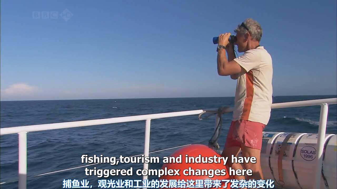 BBC.Oceans.E01.Sea.of.Cortez.加利福尼亚湾.2008.720p.x264.AC3-CMCT.mkv_20250720_2.jpg