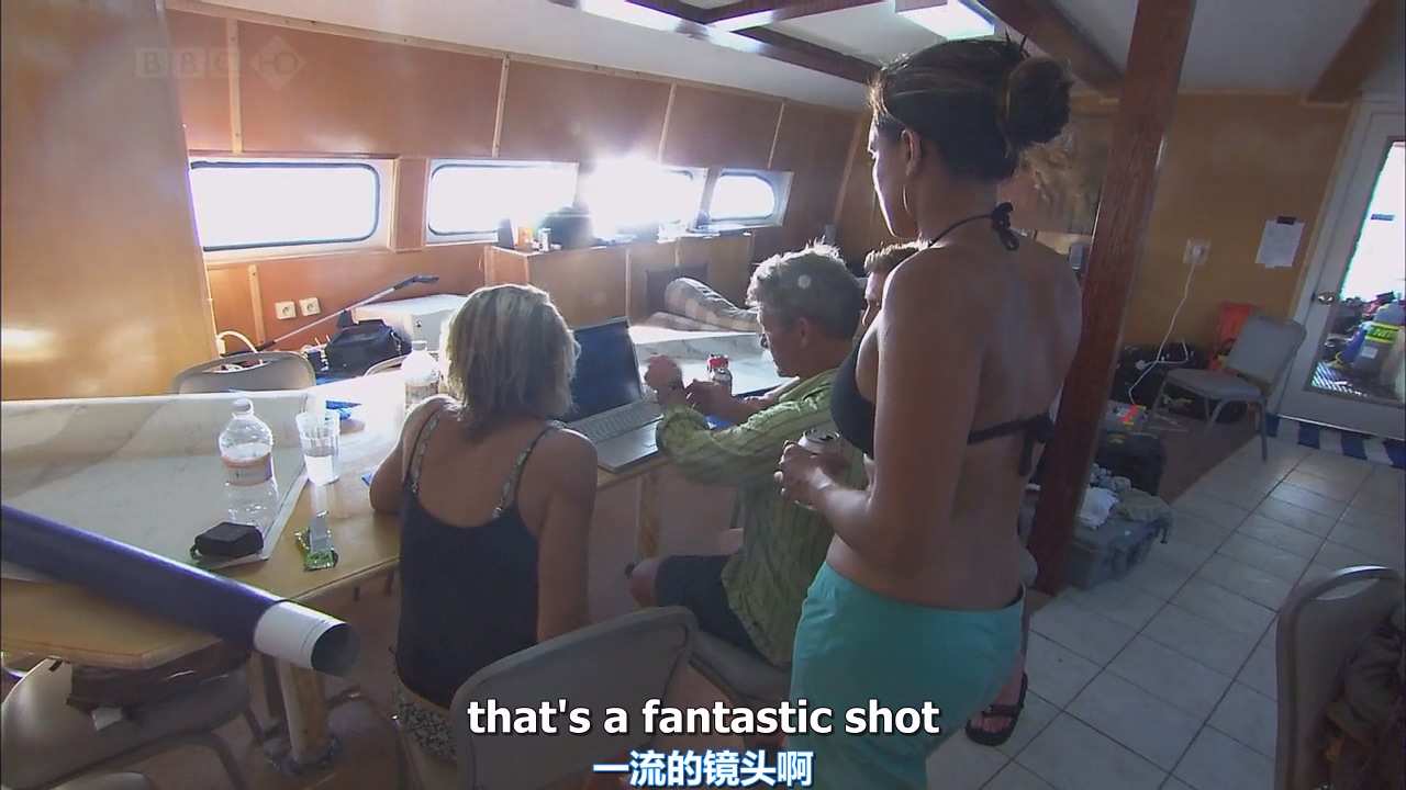 BBC.Oceans.E01.Sea.of.Cortez.加利福尼亚湾.2008.720p.x264.AC3-CMCT.mkv_20250720_2.jpg